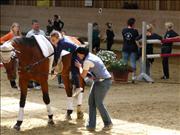 voltitag 2009 _CD1 091